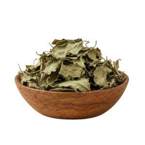 Adusa - Vasaka Leaves