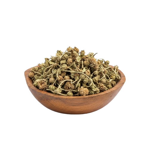 Gorakhmundi (Sphaeranthus indicus)