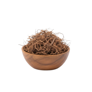 Jatamansi (Nardostachys jatamansi)