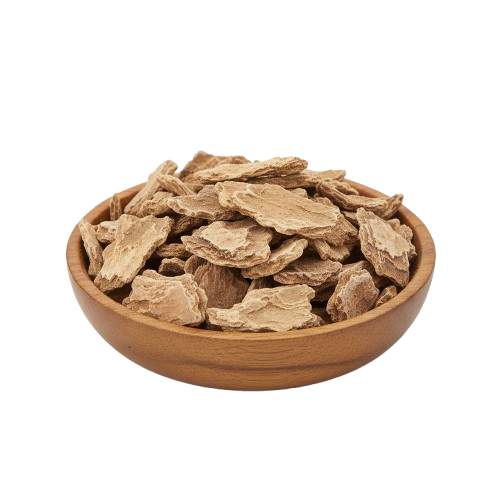 Lodhra Bark (Symplocos racemosa)